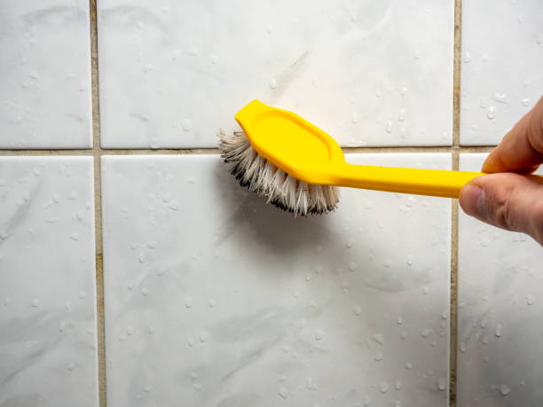 Best Commercial Mold Removal  in Pearson, GA
