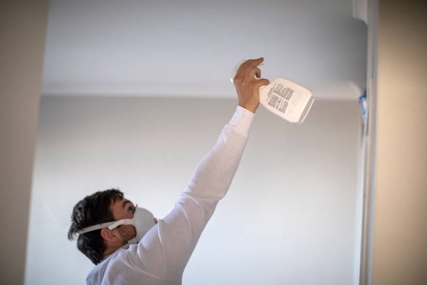 Mold Removal and Inspection in Pearson, GA