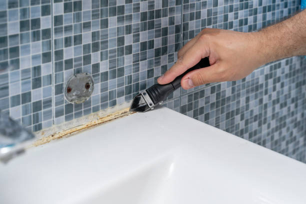 Best Certified Mold Removal  in Pearson, GA