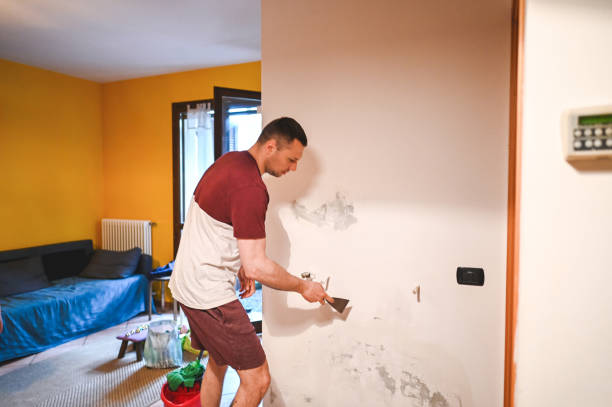Best Emergency Mold Removal  in Pearson, GA